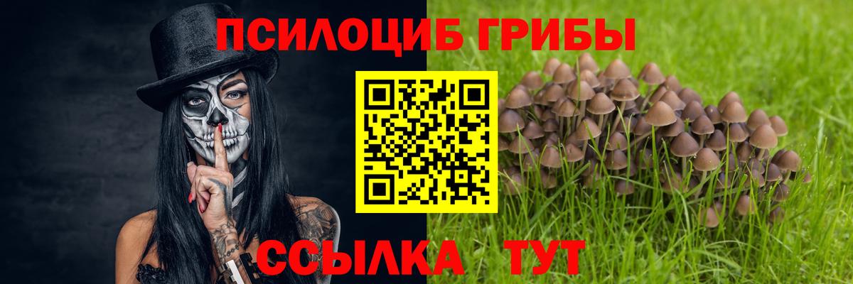 Галлюциногенные грибы мицелий  Вход с VPN  Светлоград 